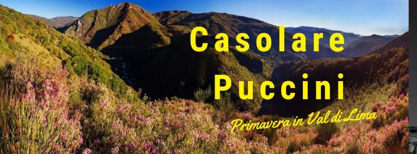 Апартаменты Casolare Puccini Баньи-ди-Лукка Экстерьер фото